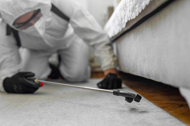 Professional Termite Control technician working in West Point, KY