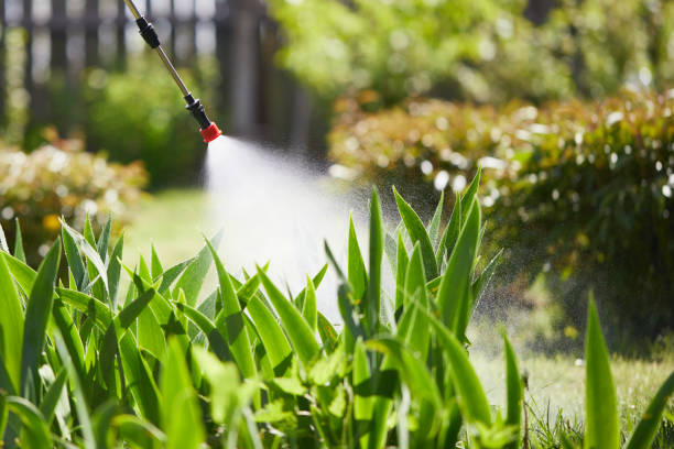 24/7 Emergency Termite Control experts in West Point, KY